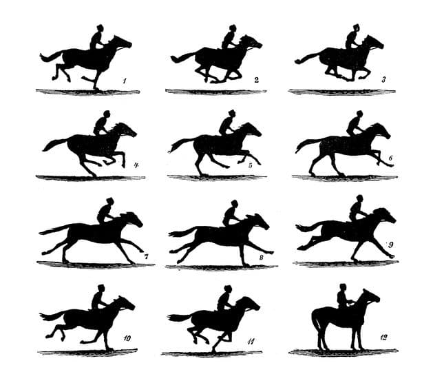 High-speed%20photography%20Muybridge Sequential silhouettes of a galloping horse and rider, demonstrating high-speed photography