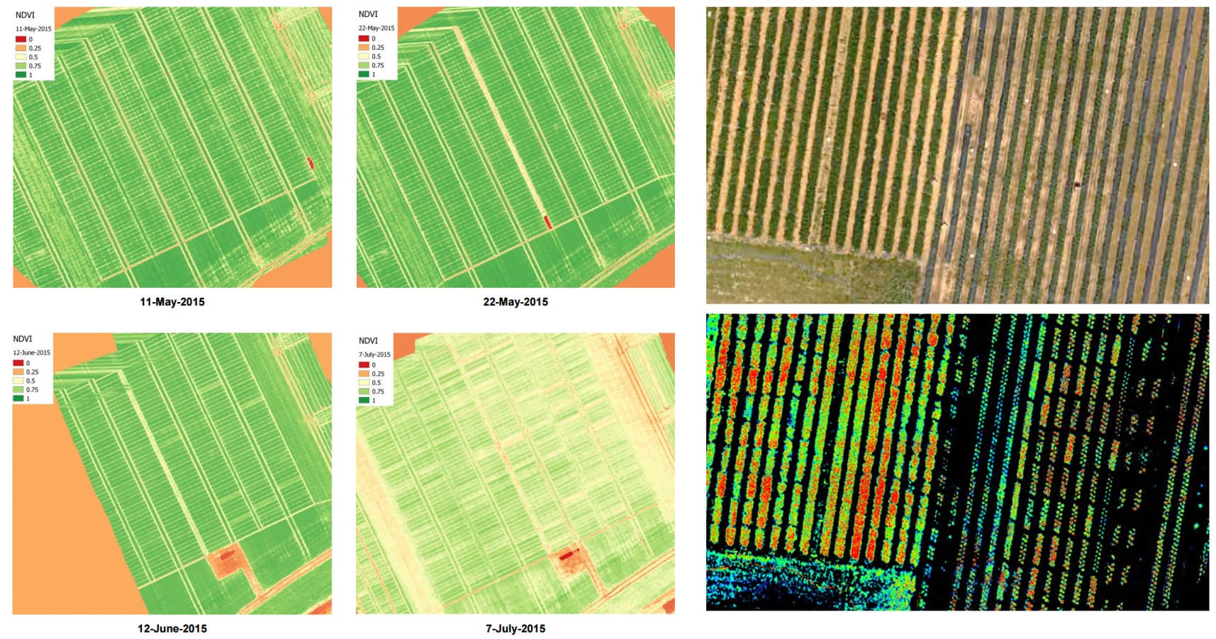 hyperspectral_imaging_precision_farming_UAV_VITO_1 Aerial hyperspectral crop maps showing wheat and strawberry fields with vegetation index overlays.