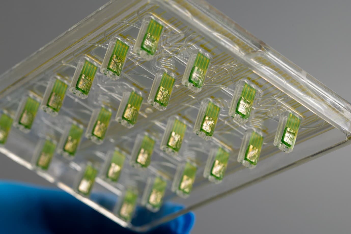 Imec%20PAT%20sensor Transparent fluidic lid with multiple embedded green sensor chips