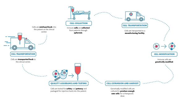 Imec%20Sarcura%20cell%20therapy Schematic of a cell therapy workflow from collection and transportation to modification, testing, and reinfusion.