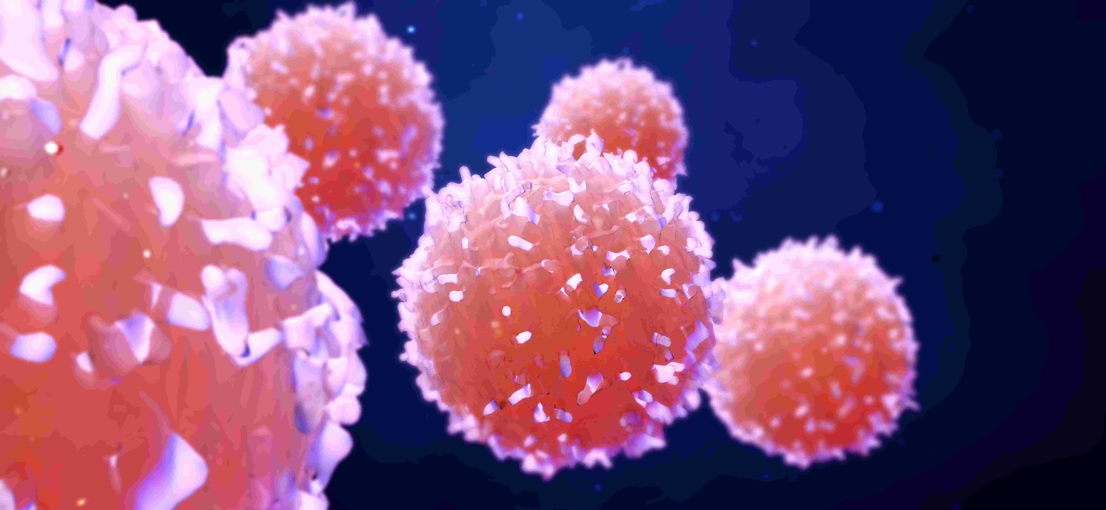 Imec%20Sarcura Stylized pink cell clusters floating against a dark blue background, suggesting a biomedical or cell manufacturing concept.