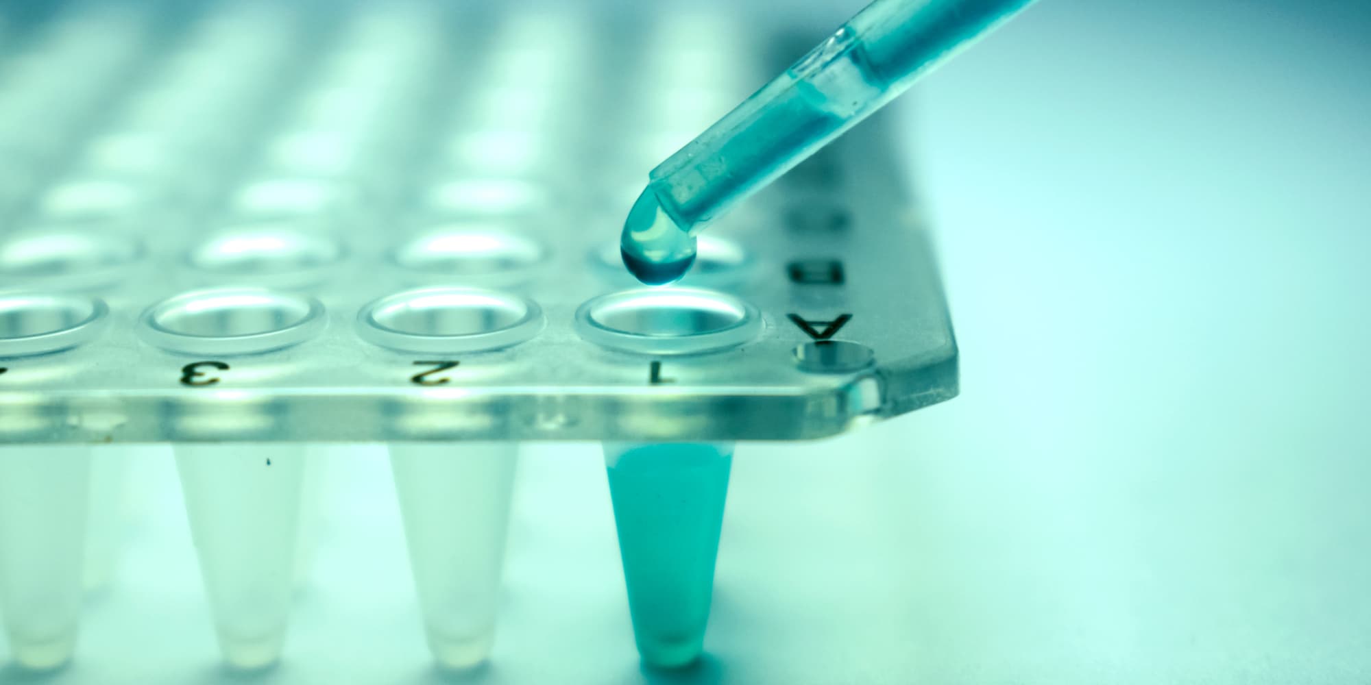 imec-magazine-0218-nanotech-for-cell-therapy_1 Pipette dispensing liquid into a lab microplate with numbered wells