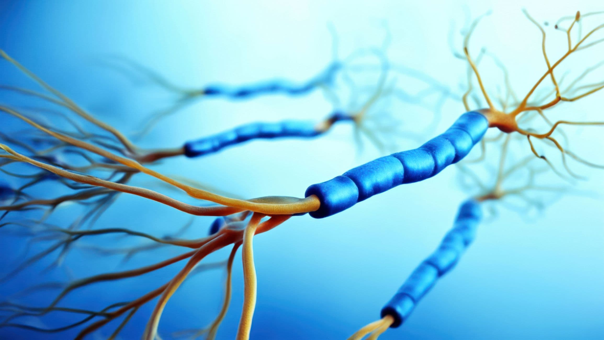 Implantables Stylized neural fibers with blue insulated sections against a soft blue background