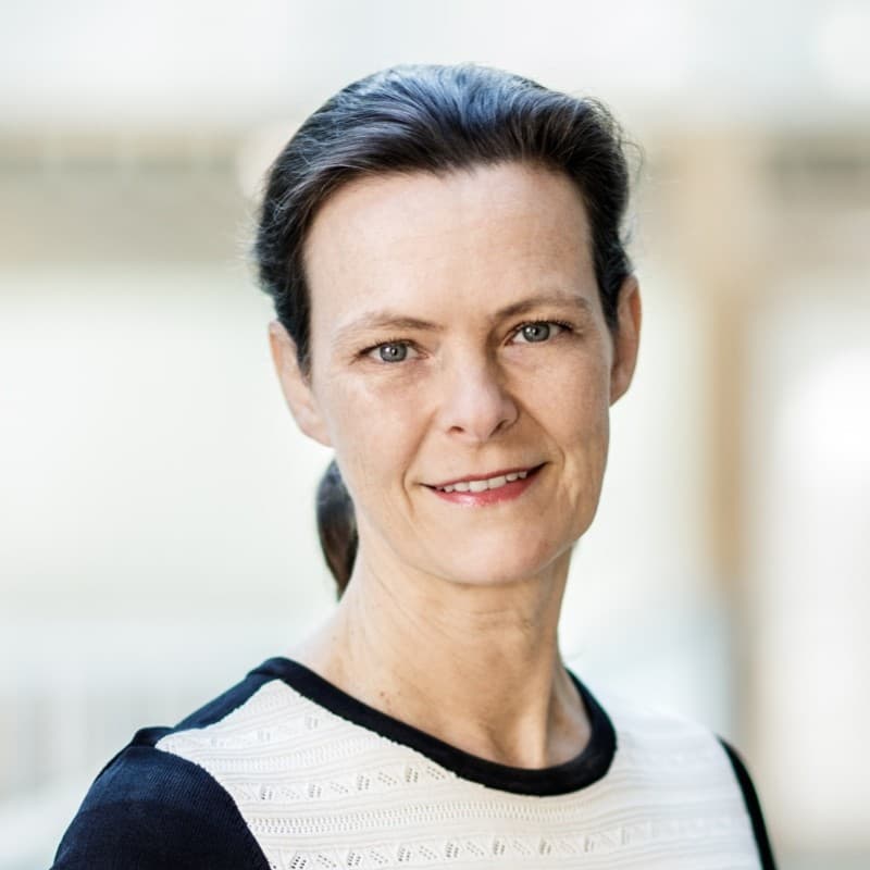 ingeborg Portrait of Ingeborg Stalmans, Head of the Research Group Ophthalmology at KU Leuven