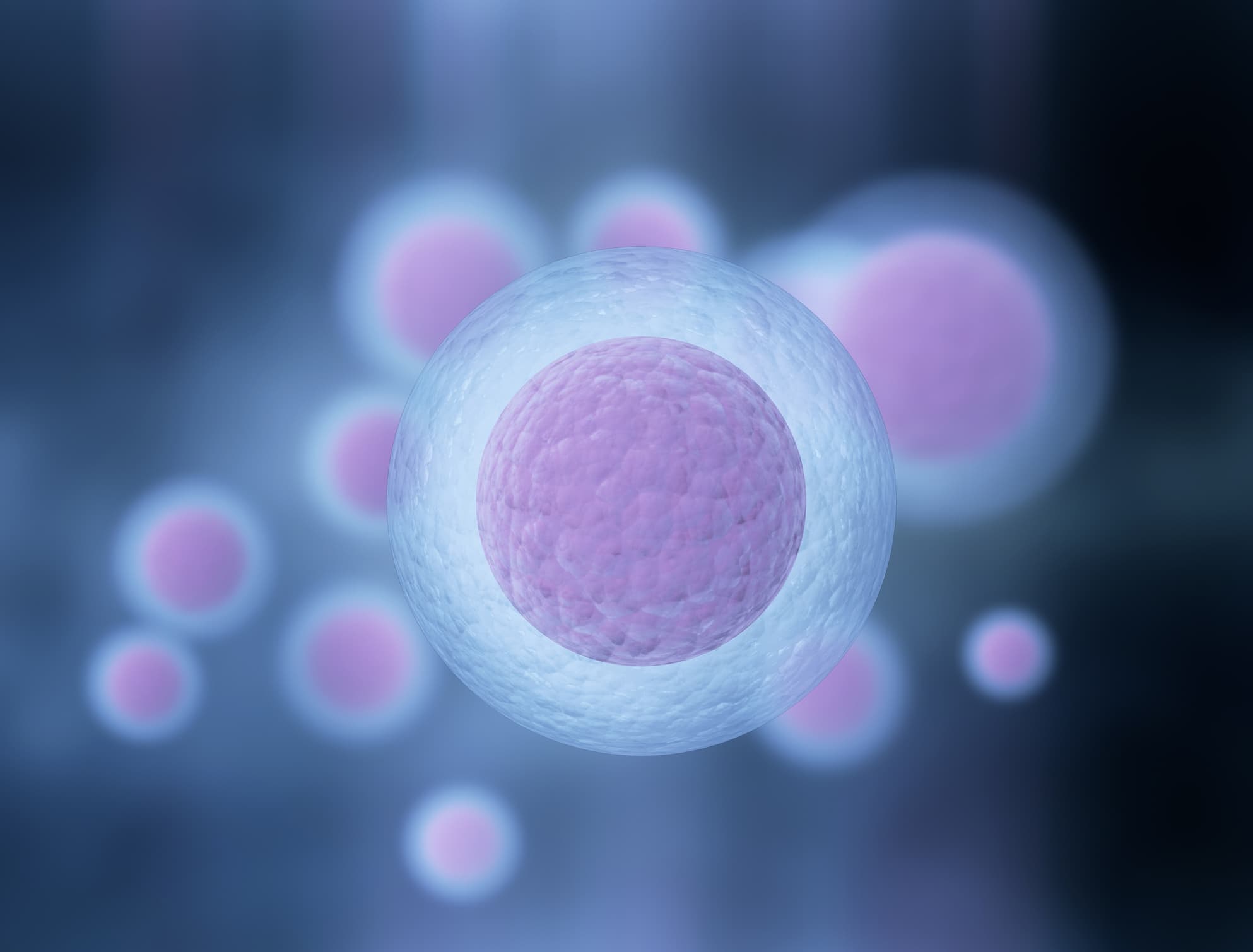 Stylized illustration of a cell Stylized illustration of a cell with several blurred cells in the background