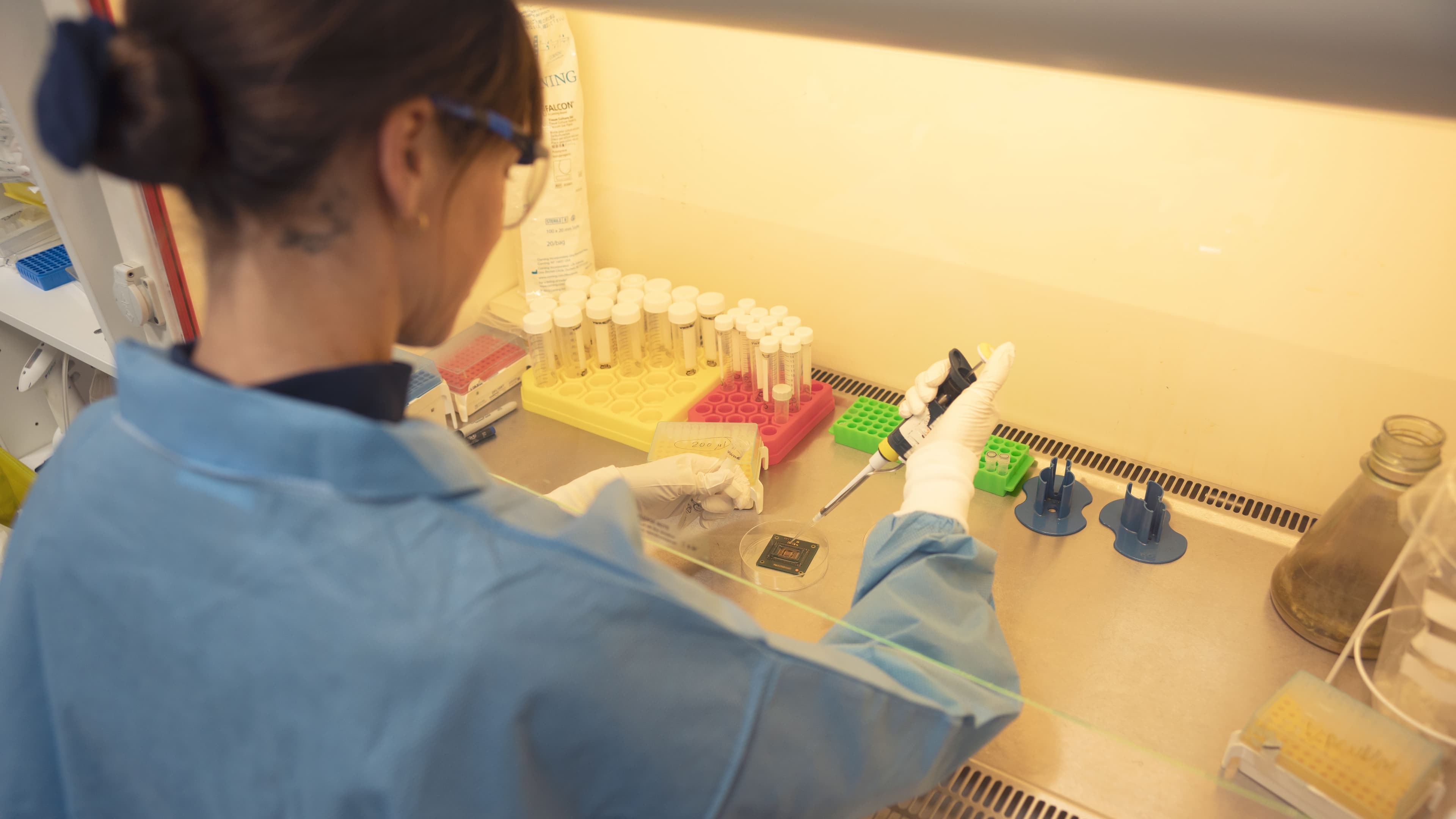 Johanna%20lab Researcher in a lab coat and gloves pipetting in a biosafety cabinet beside a microchip on a petri dish