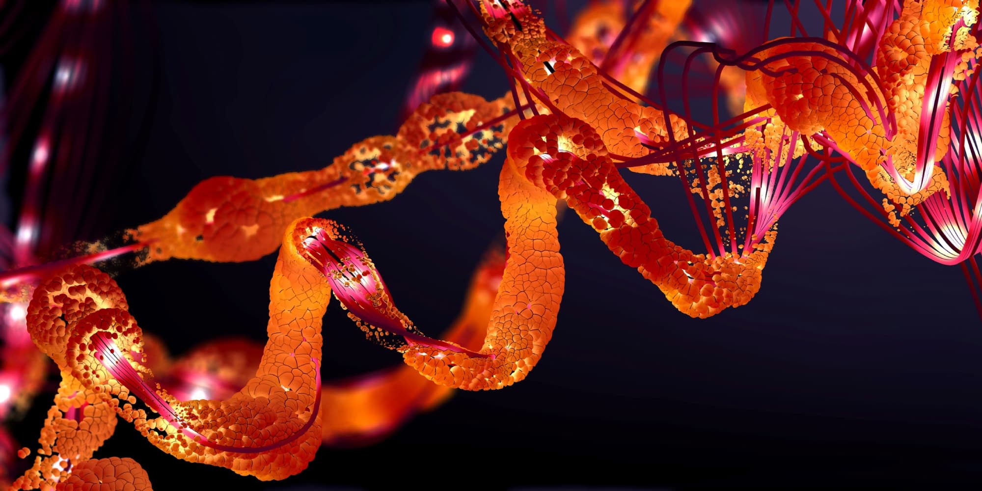 Komt-kankeronderzoek-in-digitale-stroomversnelling Gestileerde DNA-strengen die oranje en roze oplichten tegen een donkere achtergrond