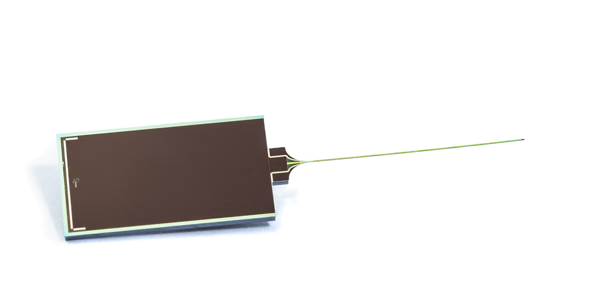 life-sciences-technology-platform-neuroprobe_1 Neural probe chip with a long thin microelectrode extending from a rectangular silicon base