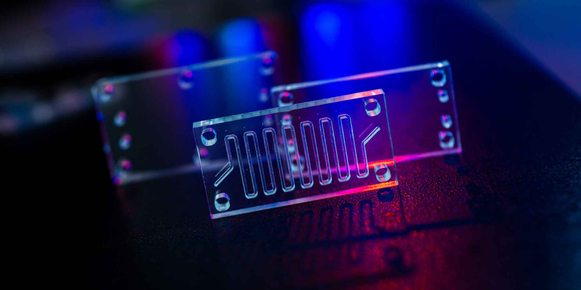 microfluidics-header Transparent microfluidic chips under blue and magenta lab lighting