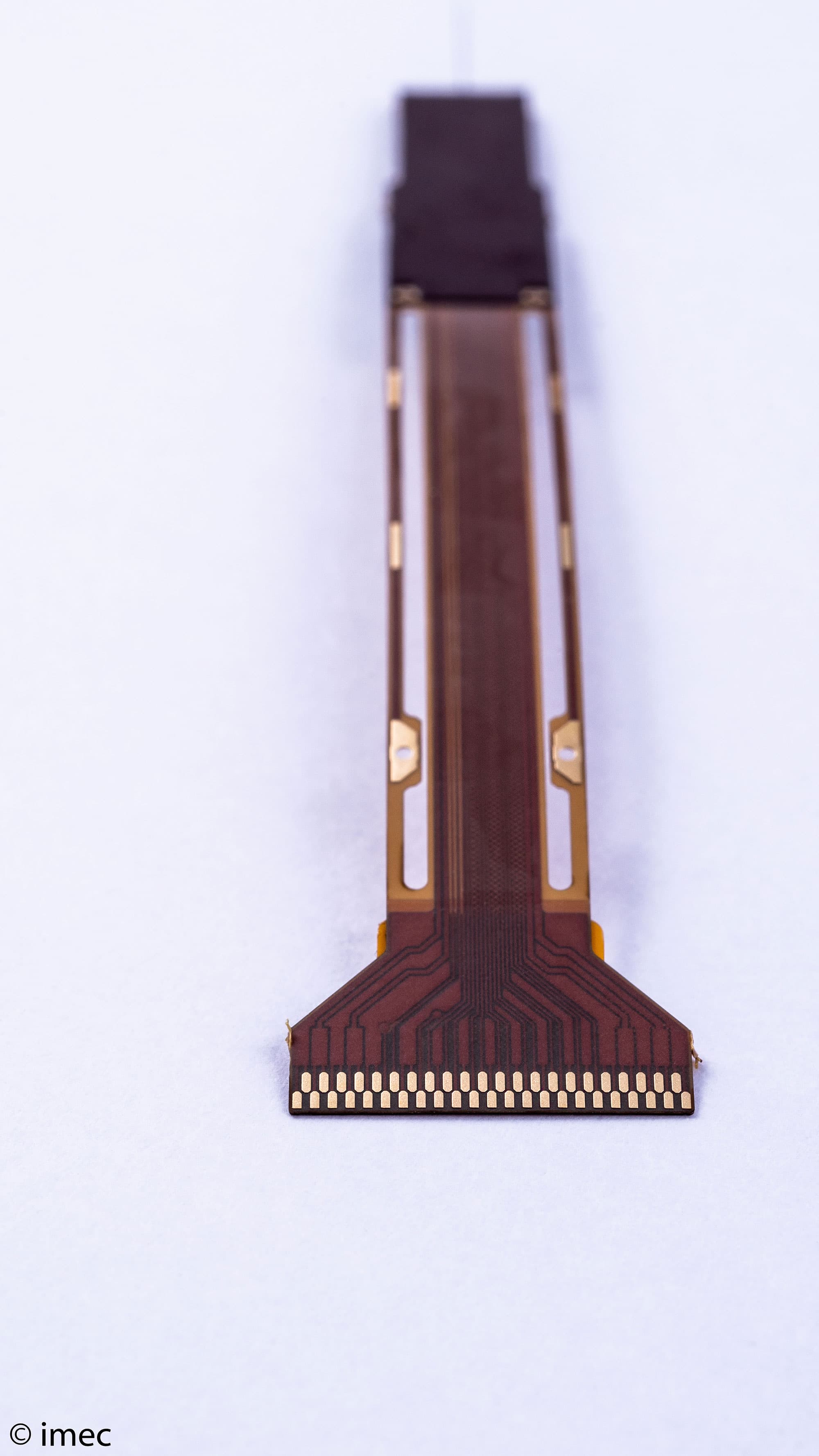 Neuropixels neural probe with flexible shank Neuropixels neural probe with a long flexible shank and connector contacts on a white background