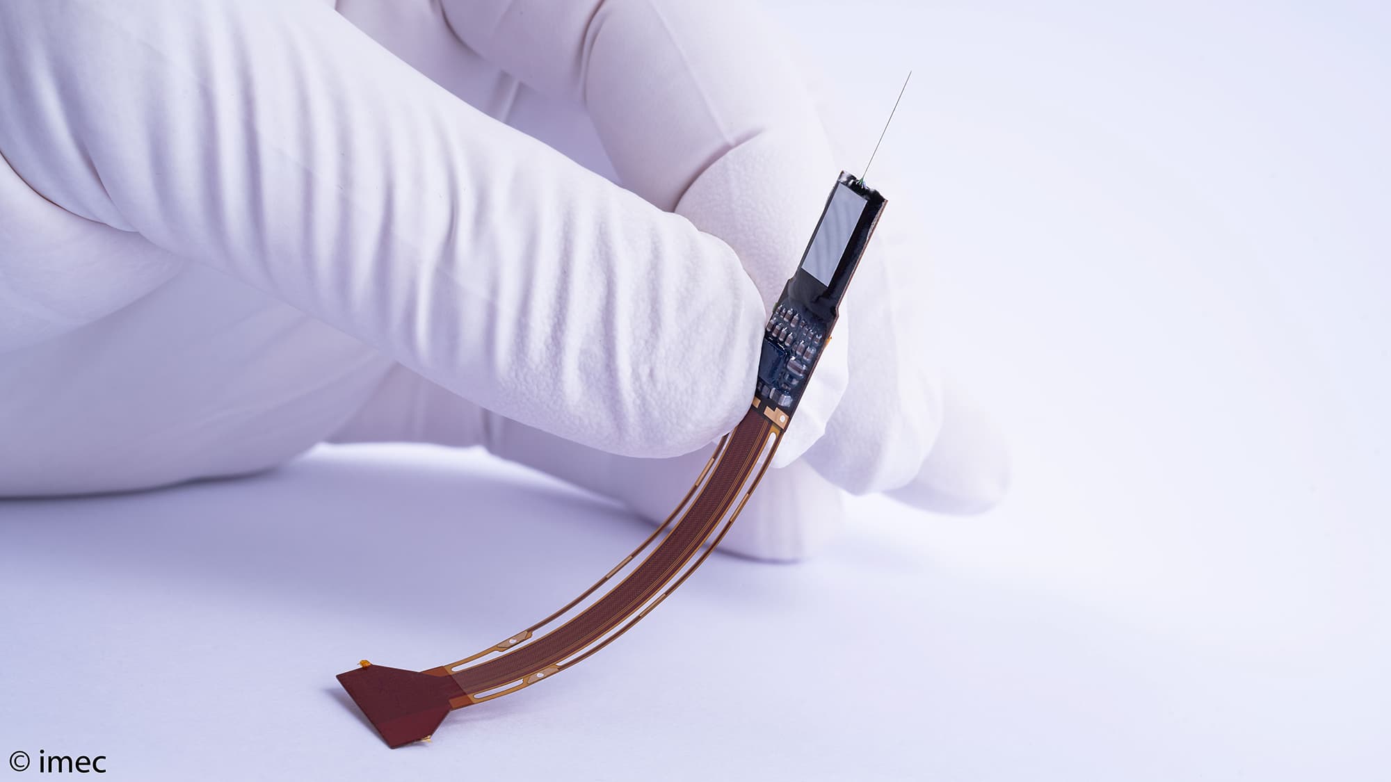 Neural probe held by gloved hands Gloved hands holding a slender neural probe with a curved flexible tail and fine tip