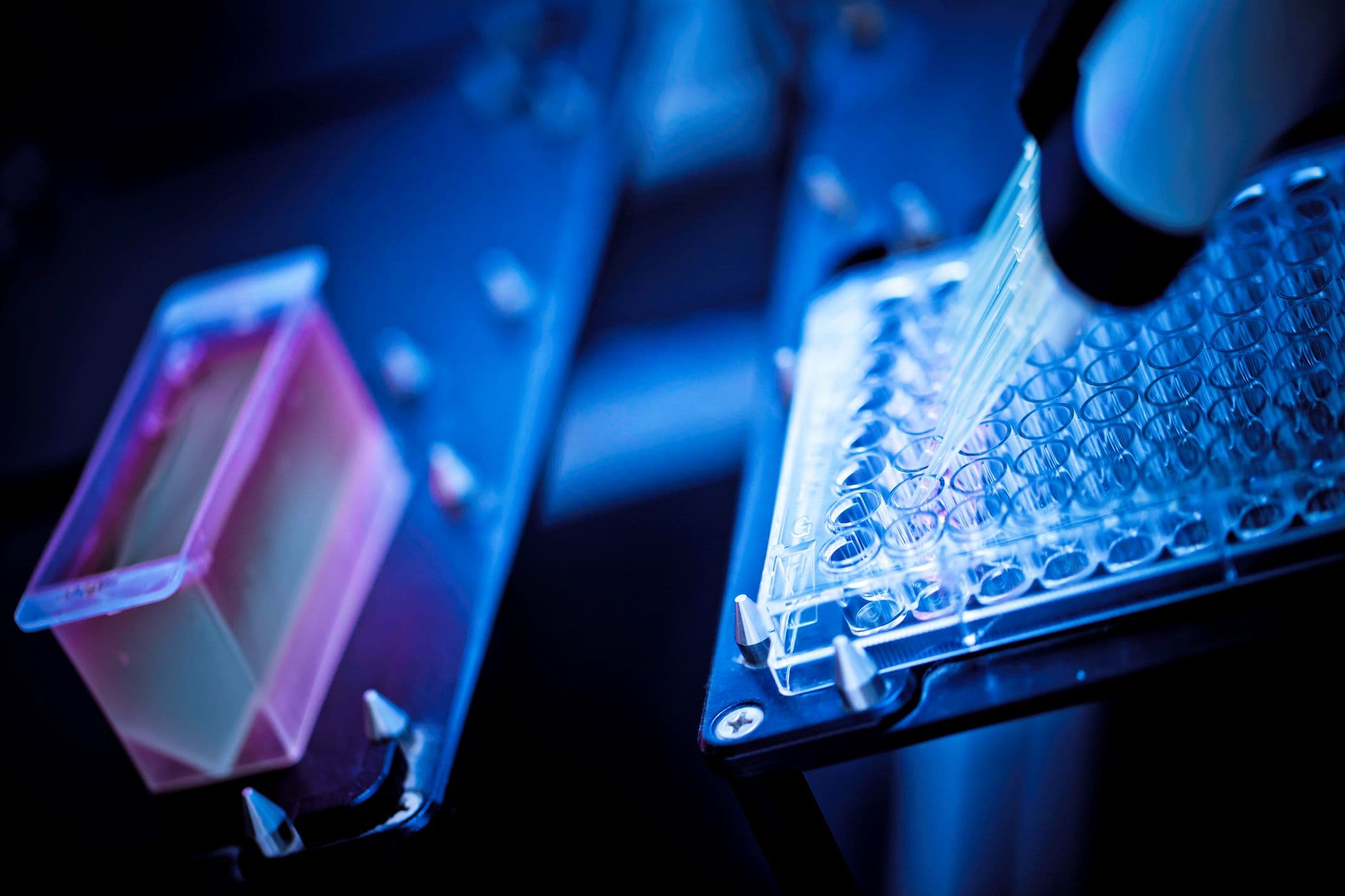 Nanopore%20assay Close-up of a lab microplate and pipette tip under blue lighting