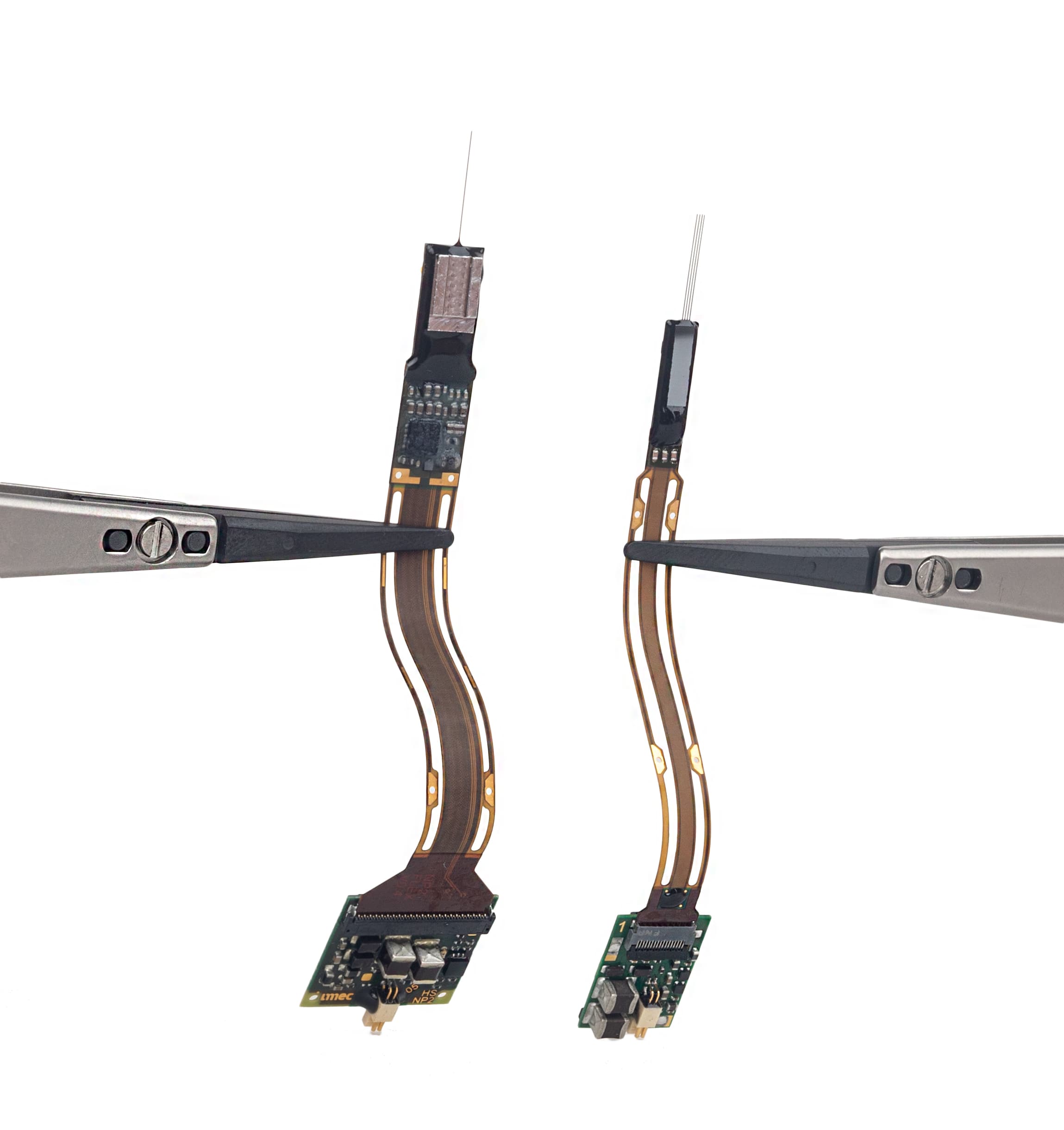 Neural%20probes Two Neuropixels neural probes held by tweezers, showing slim electrode shafts and circuit boards