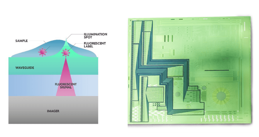 On-chip%20fluorescence%20microscope Concept diagram and proof-of-concept chip for an on-chip fluorescence microscope