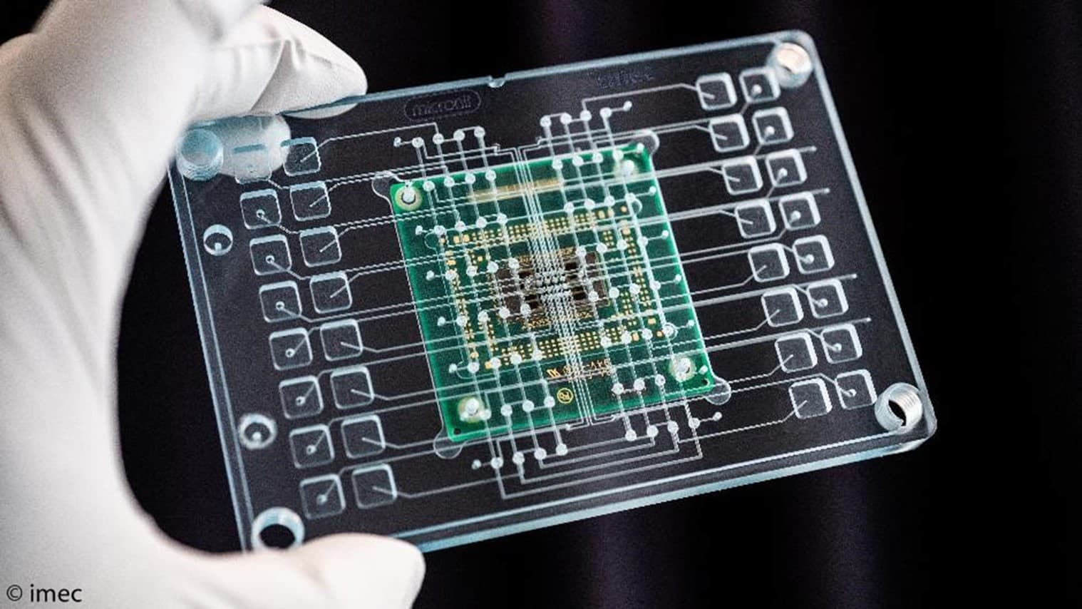 Picture2 Gloved hands holding a transparent MEA chip with a green circuit in the center