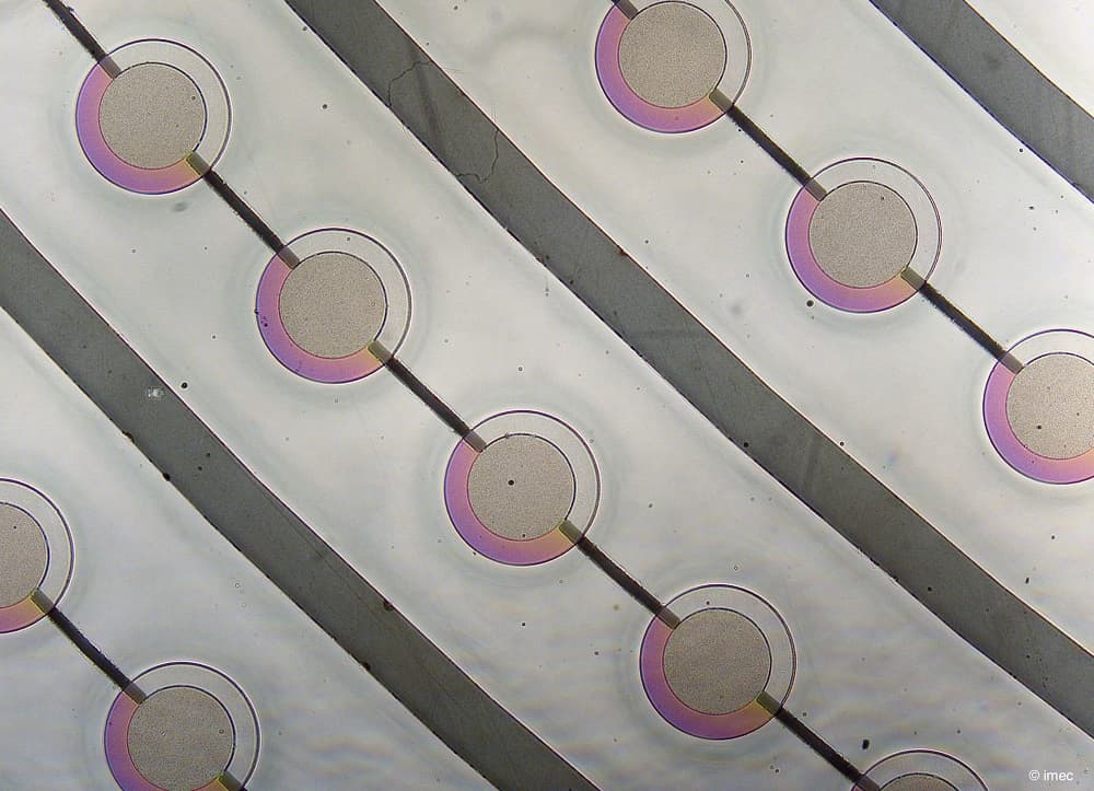 Close-up of pMUT sensor array Close-up of a pMUT sensor array with circular elements on a wafer-like surface.