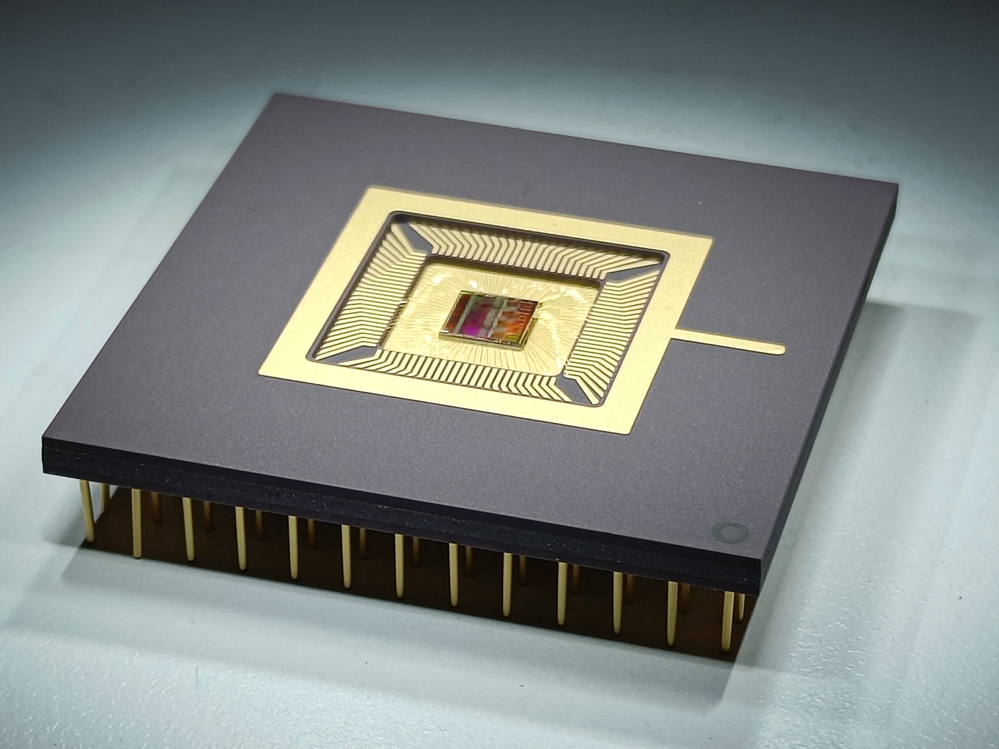 Implantable chip package with microchip and gold pins Implantable chip package with a central microchip and gold contact pins