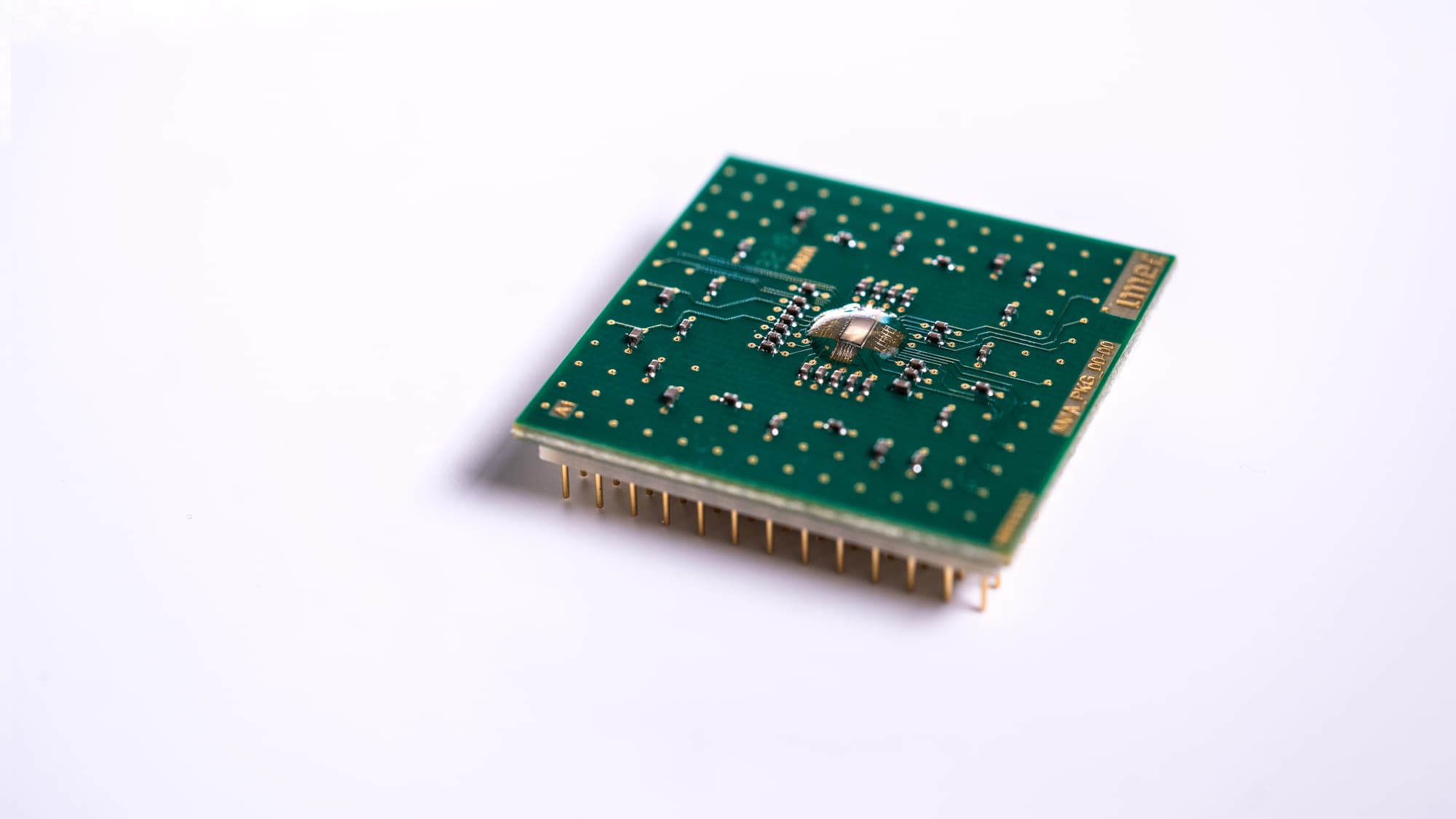 pr_ania001-small Green microchip board with gold pins on a white background