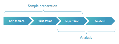 Proteomics%20sample%20prep Diagram of proteomics sample preparation steps: enrichment, purification, separation and analysis.