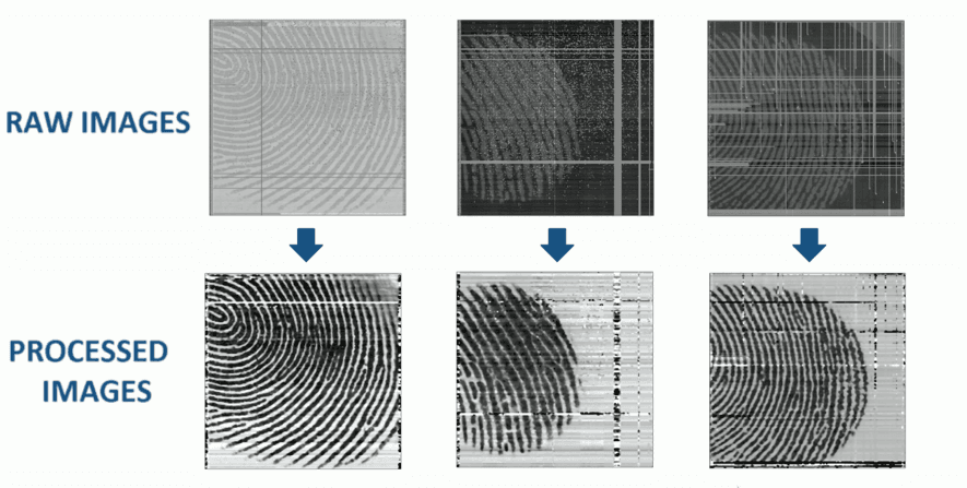 PYCSEL-award_0 Comparison of raw and processed thermal fingerprint sensor images, showing clear fingerprint ridges after processing.
