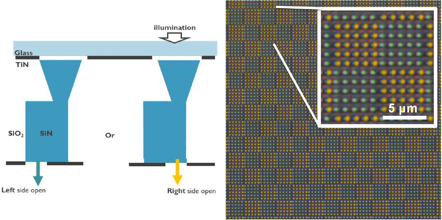 RGB%20camera%20measurement Microscope view and diagram of waveguides showing alternating left- and right-side openings with colored light patterns.