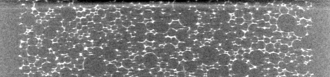SchuimScherp_0 X-ray reconstruction of compressed foam showing bright cell edges and internal structure
