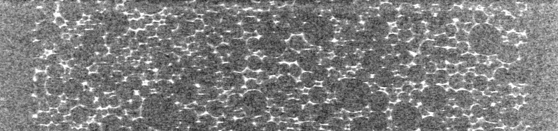 SchuimVaag_0 Grainy X-ray scan showing the internal structure of a porous object