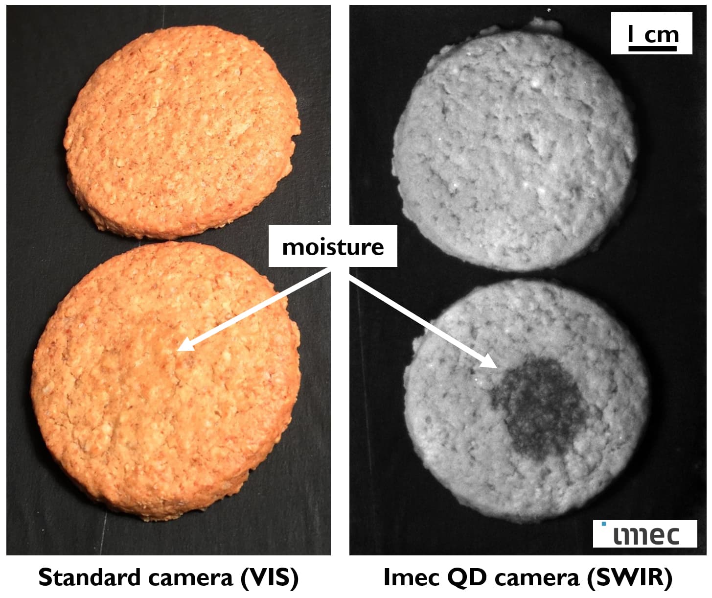 tfpd_cookies_1 Side-by-side visible and SWIR cookie images showing moisture as a dark spot in the lower cookie