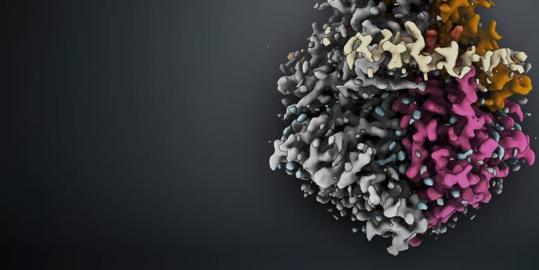Transmission%20Electron%20Microscope_header 3D molecular structure rendered in gray, magenta, and orange against a dark background