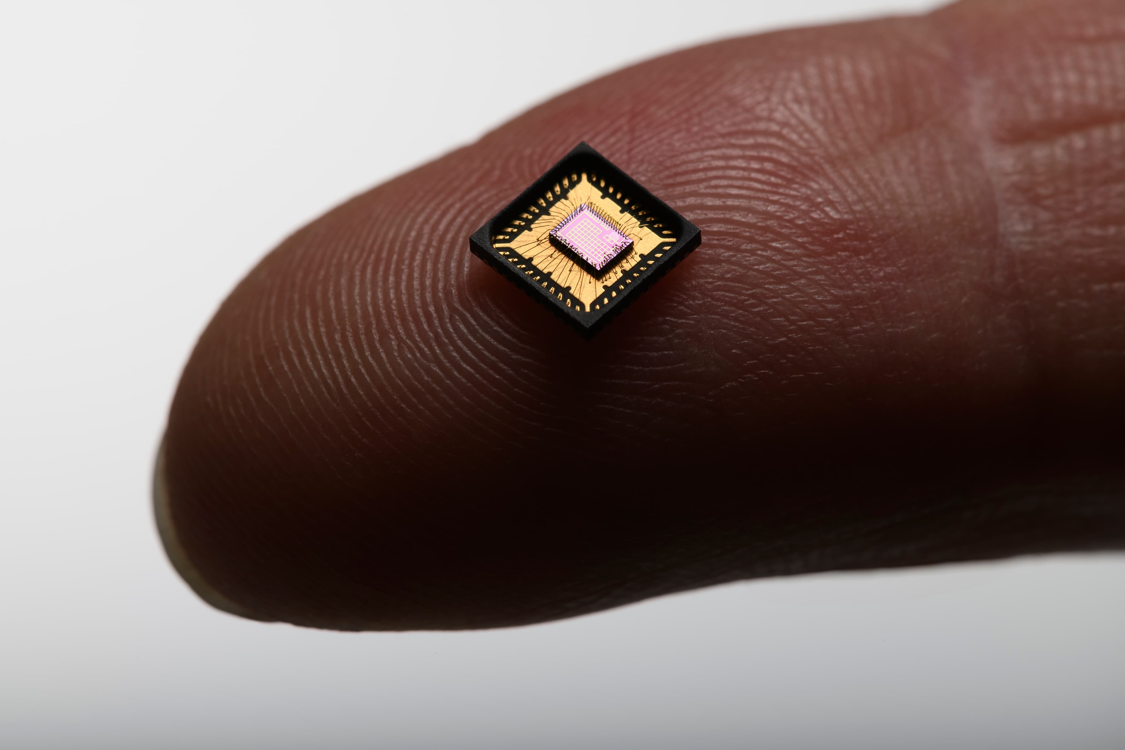 Tiny neural telemetry chip on fingertip Tiny chip resting on a fingertip, showing a neural telemetry device with a pink center die