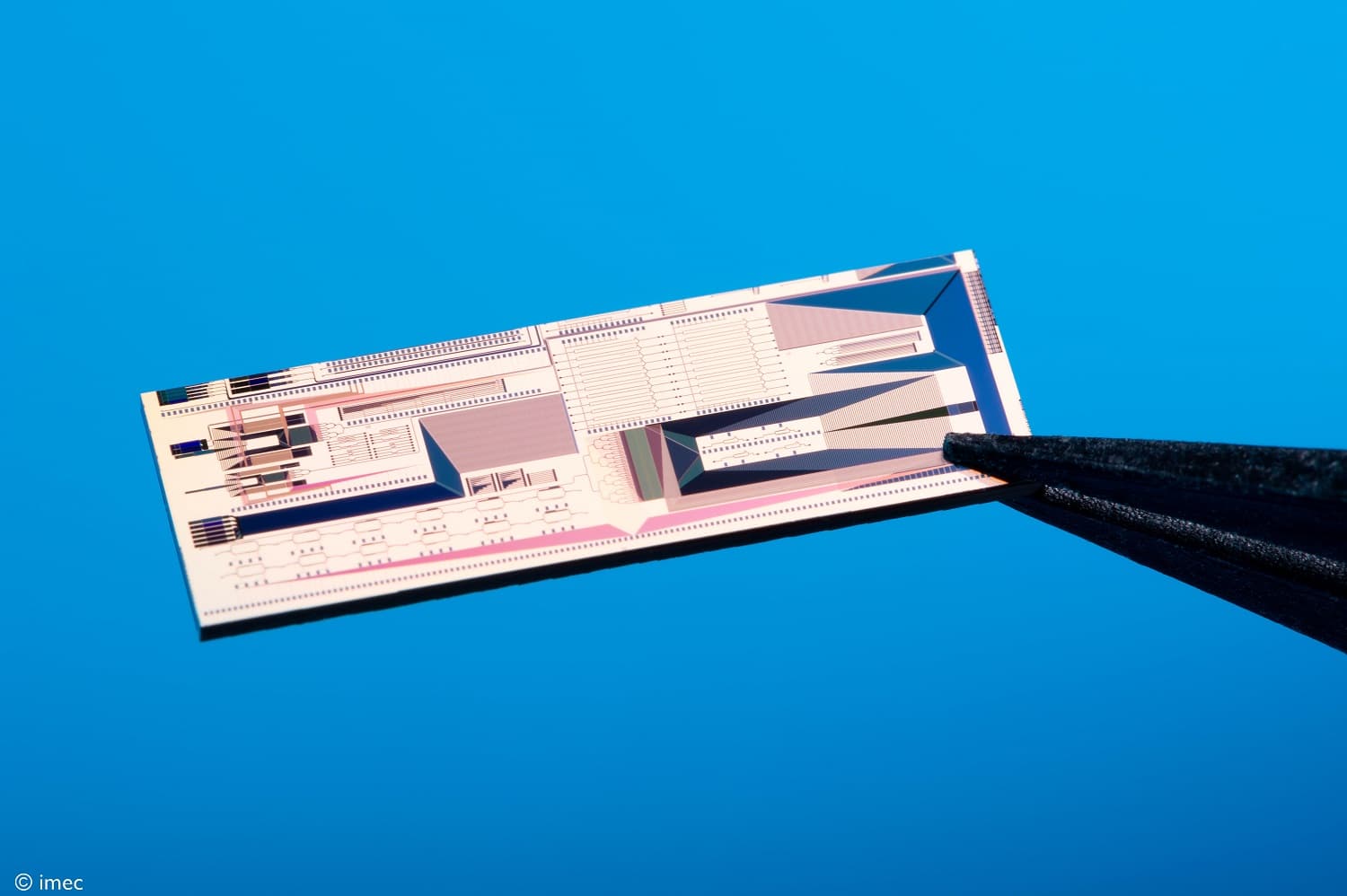 Silicon photonics chip held by tweezers Silicon photonics chip held by tweezers against a blue background