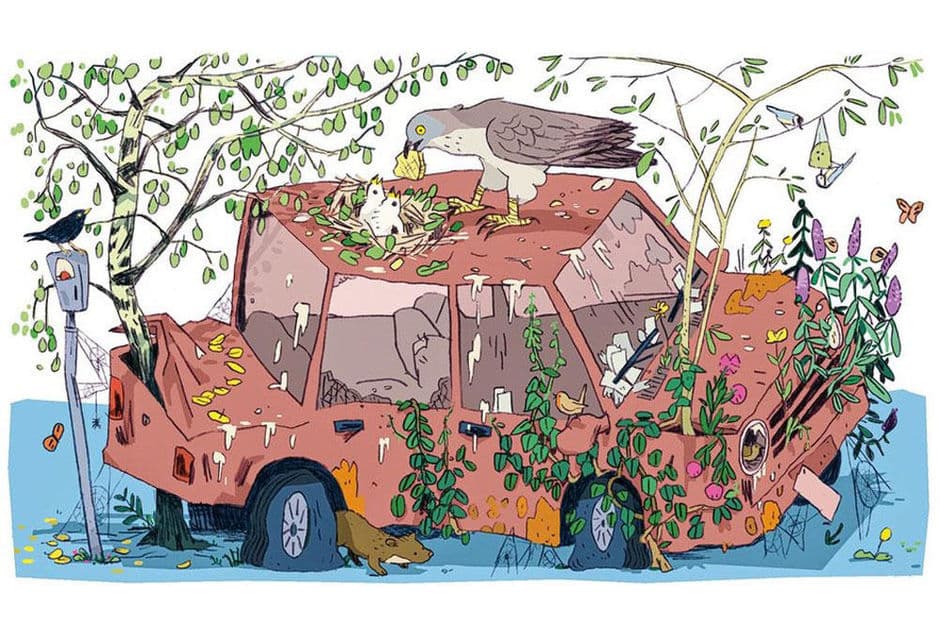 Visual%20Fred%20Knack Illustratie van een geparkeerde auto overwoekerd met planten en omringd door vogels en insecten
