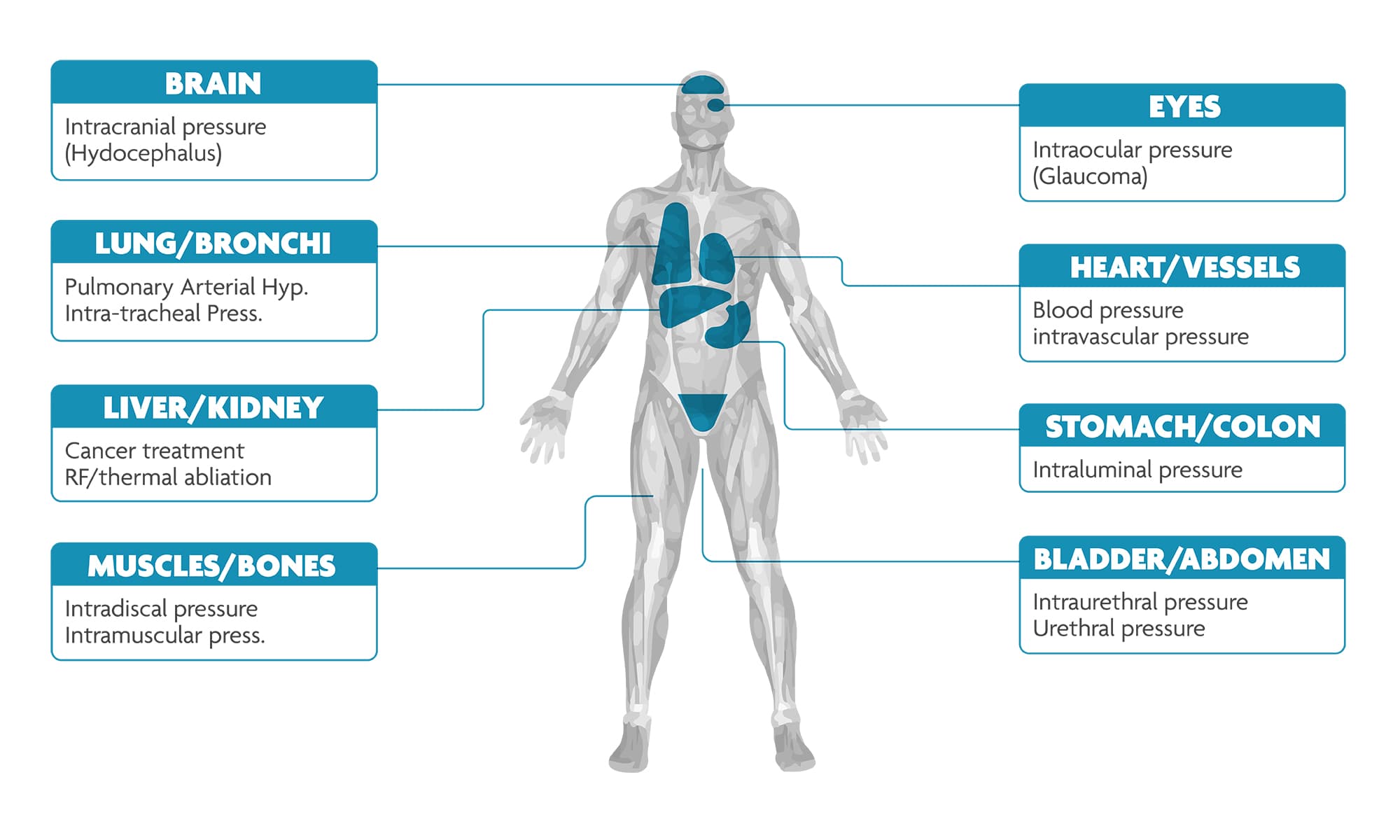 Human body diagram showing pressure-sensing applications Human body diagram showing potential pressure-sensing applications in the brain, eyes, lungs, heart, stomach, bladder and muscles