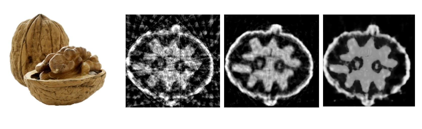 Walnut_0 Walnut alongside three X-ray reconstructions, from noisy standard results to a clearer neural-network reconstruction.