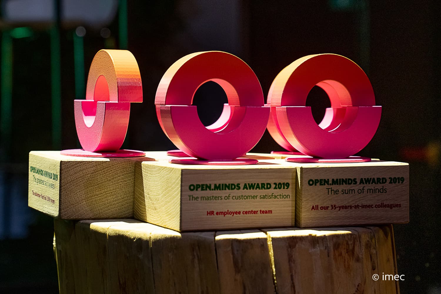 Open-minds-awards Open Minds Award trophies on wooden blocks